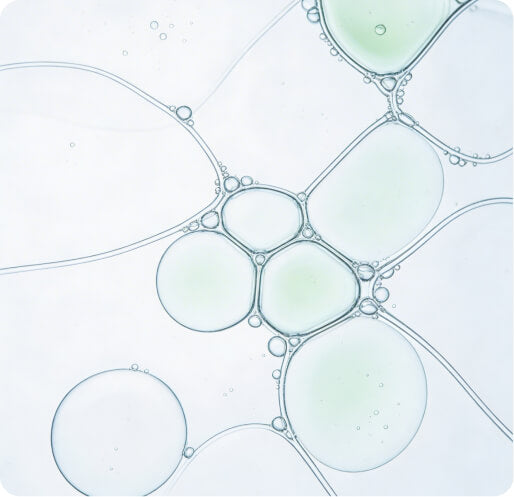 Premium, science-backed ingredients with rigorous third-party testing