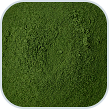 Green Tea Extract