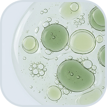 Pea Sprout Extract (AnaGain™)
